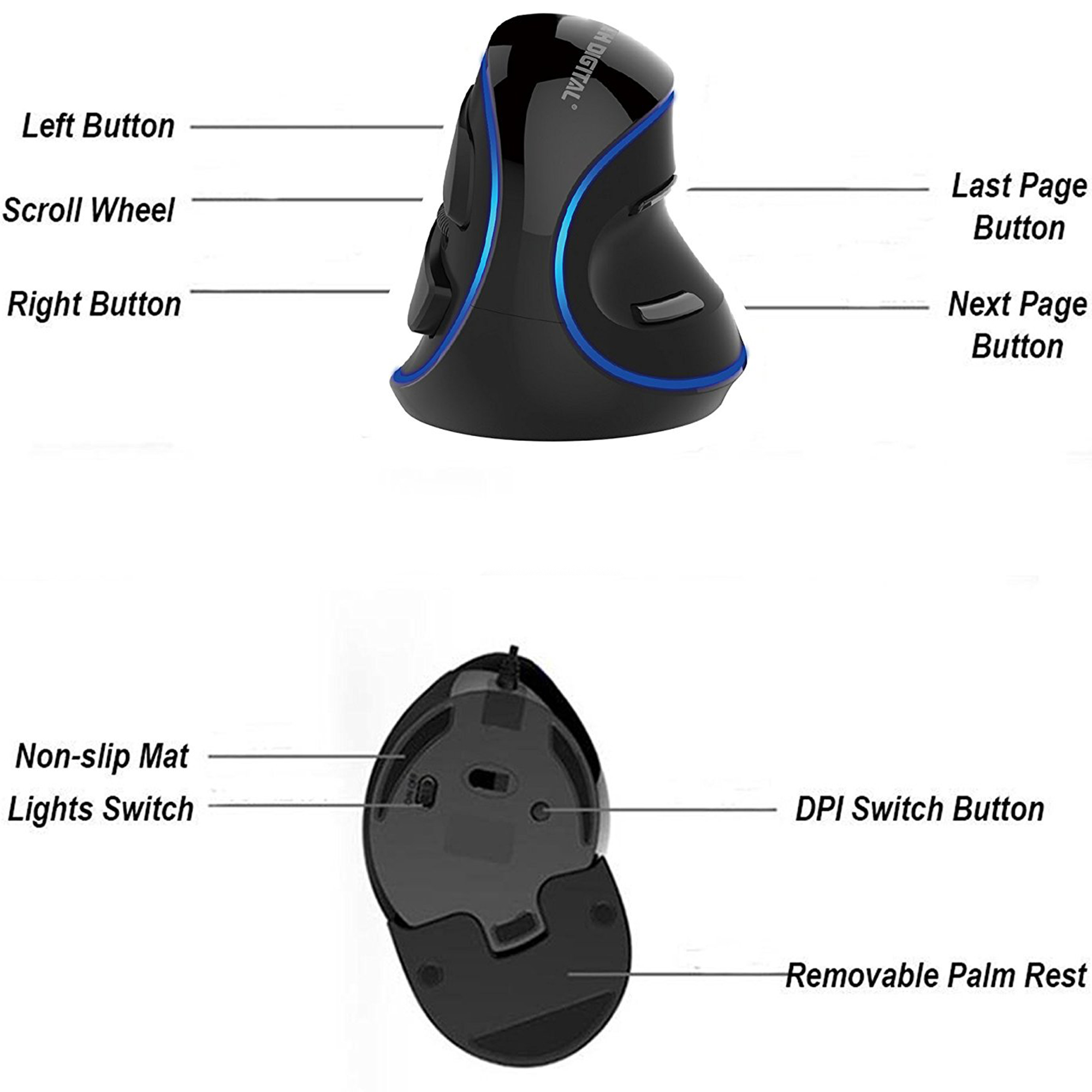 Wired Vertical Mouse with Removable Palm Rest (V628)
